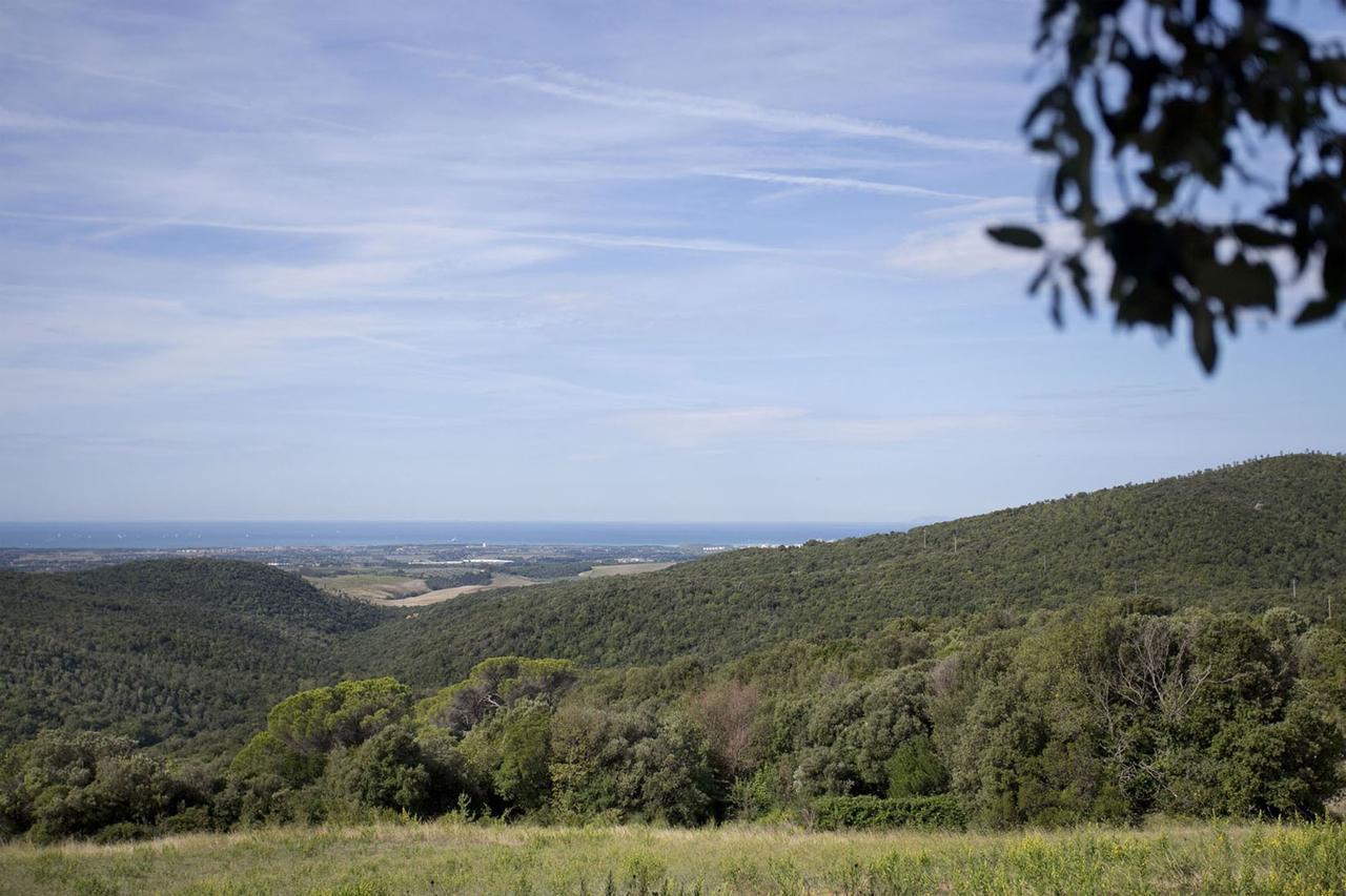 La Lepraia Estate Villa Castellina Marittima Exteriör bild